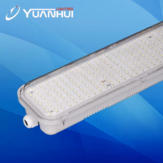 IP65 Luce LED IP65 non corrosiva